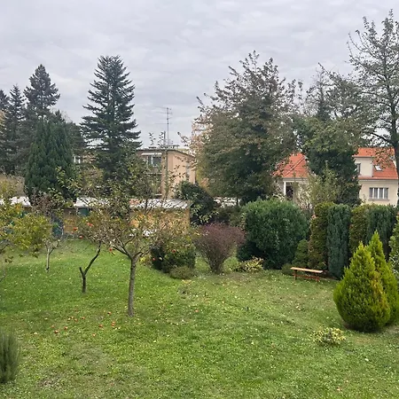 Apartmantonki V Centre Mesta Piest'any